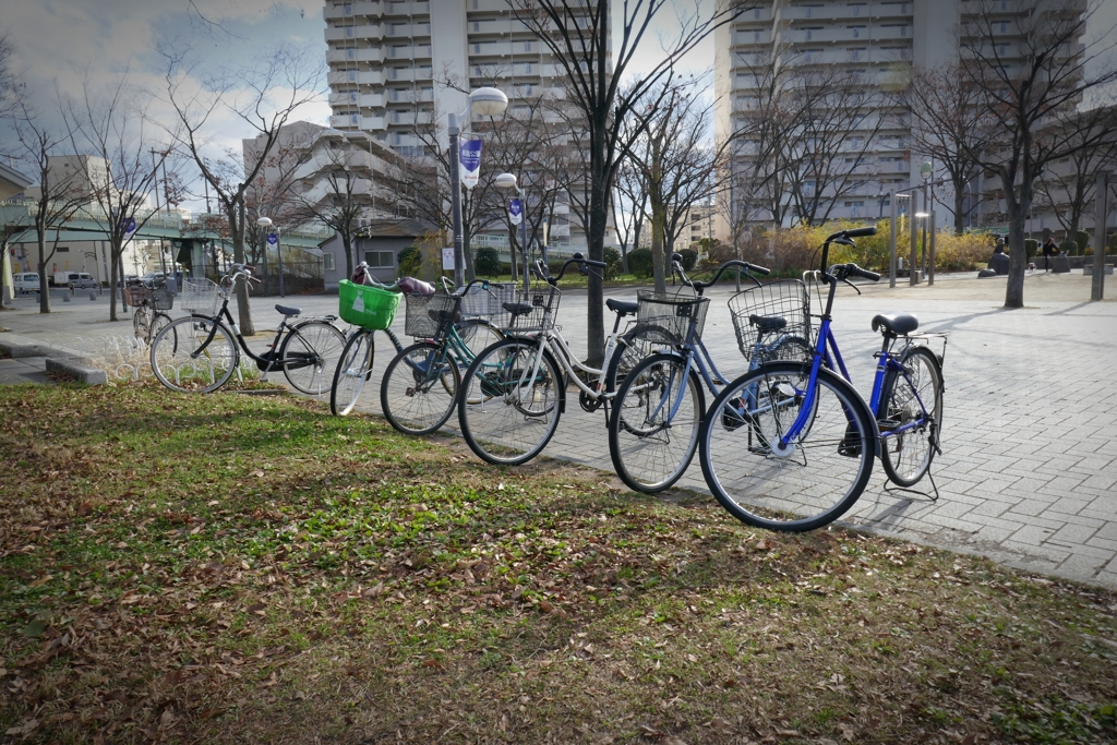 なぜみんな　前輪だけ土の上？
