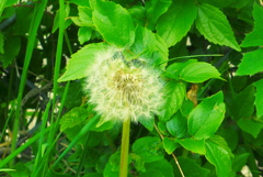 P1190693
