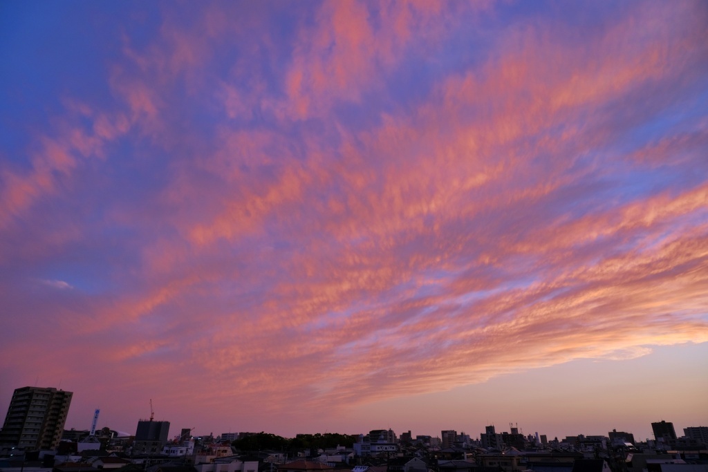 DSCF4403