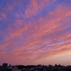 DSCF4403