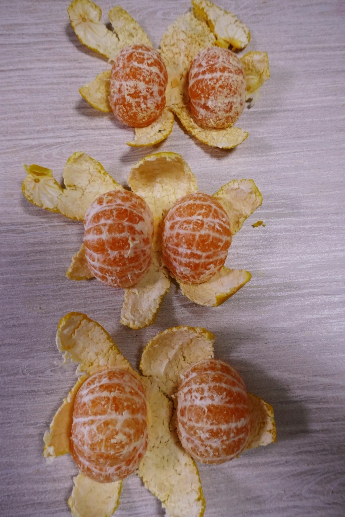 P1260551