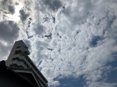 IMG_3957