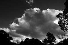 P1310085