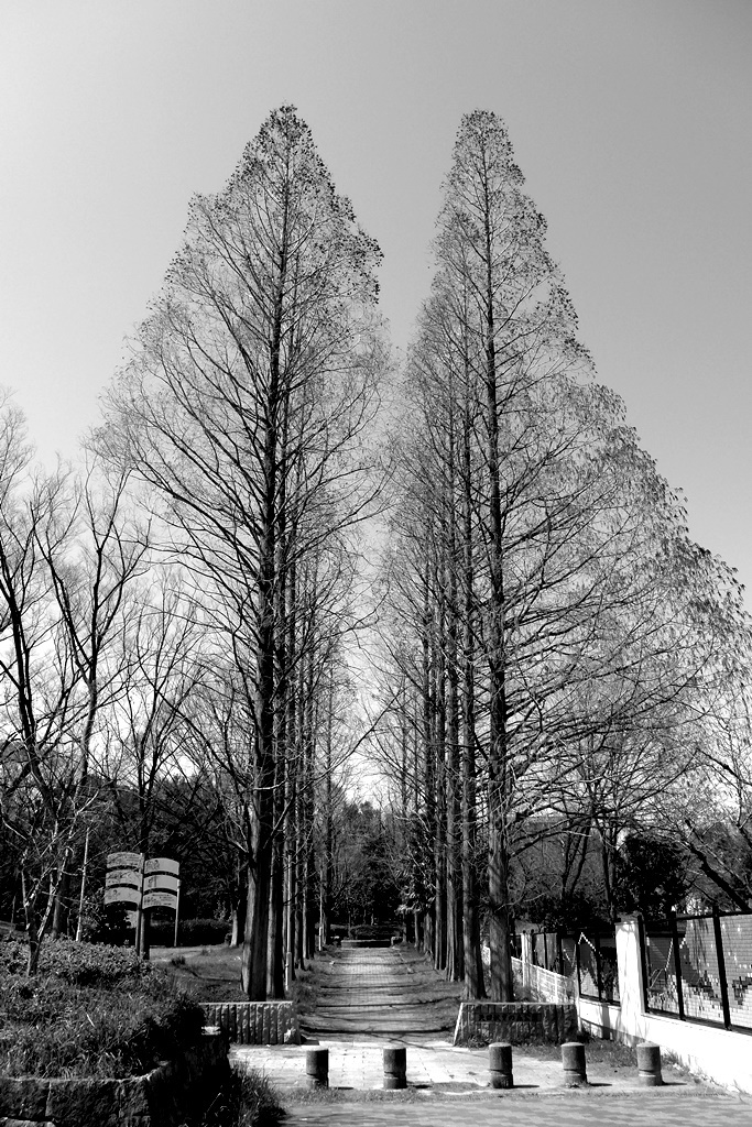 P1410645
