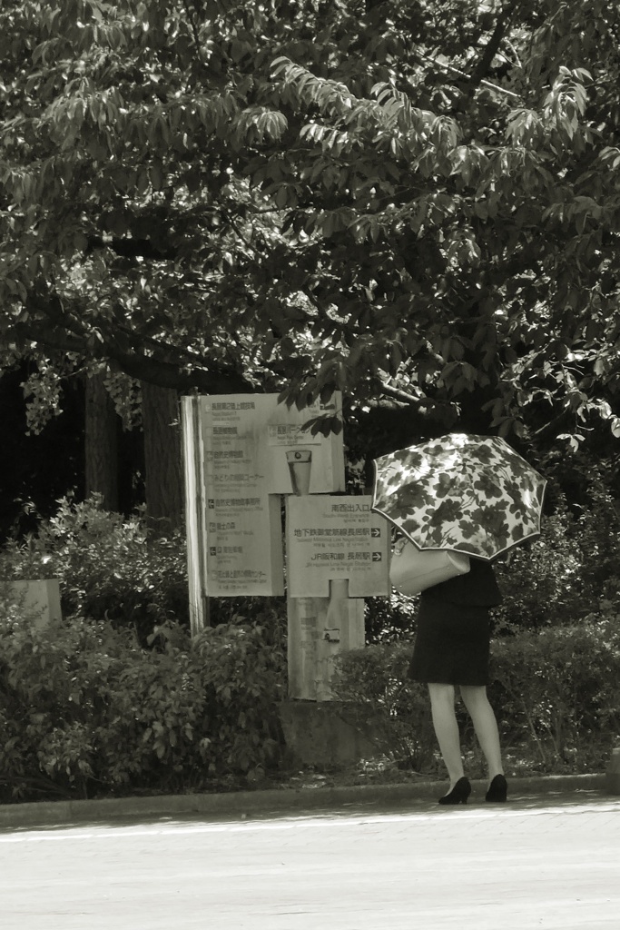 P1100858
