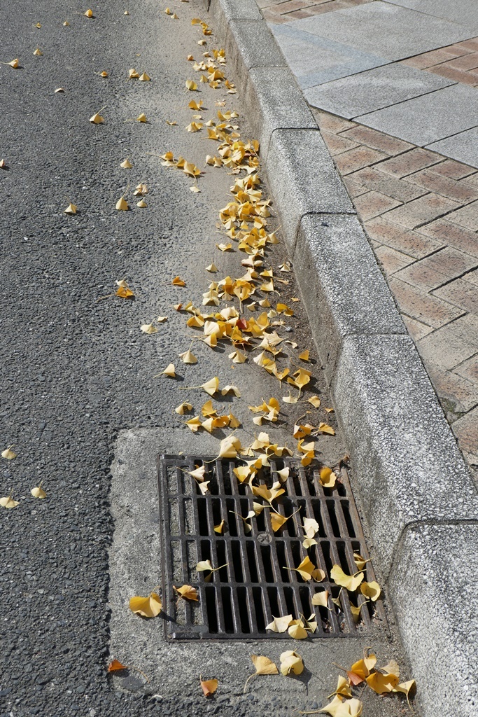 P1160150