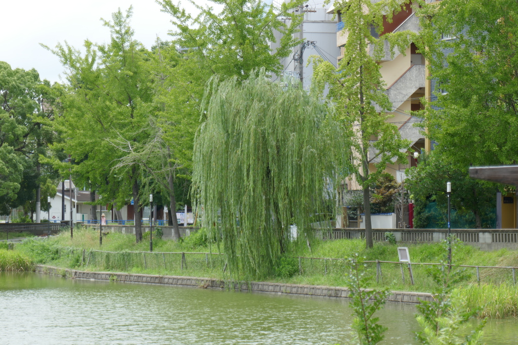 P1030851