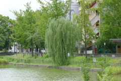 P1030851
