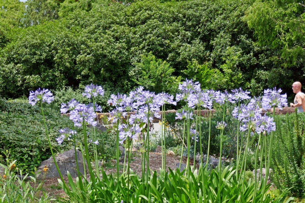 P1010292