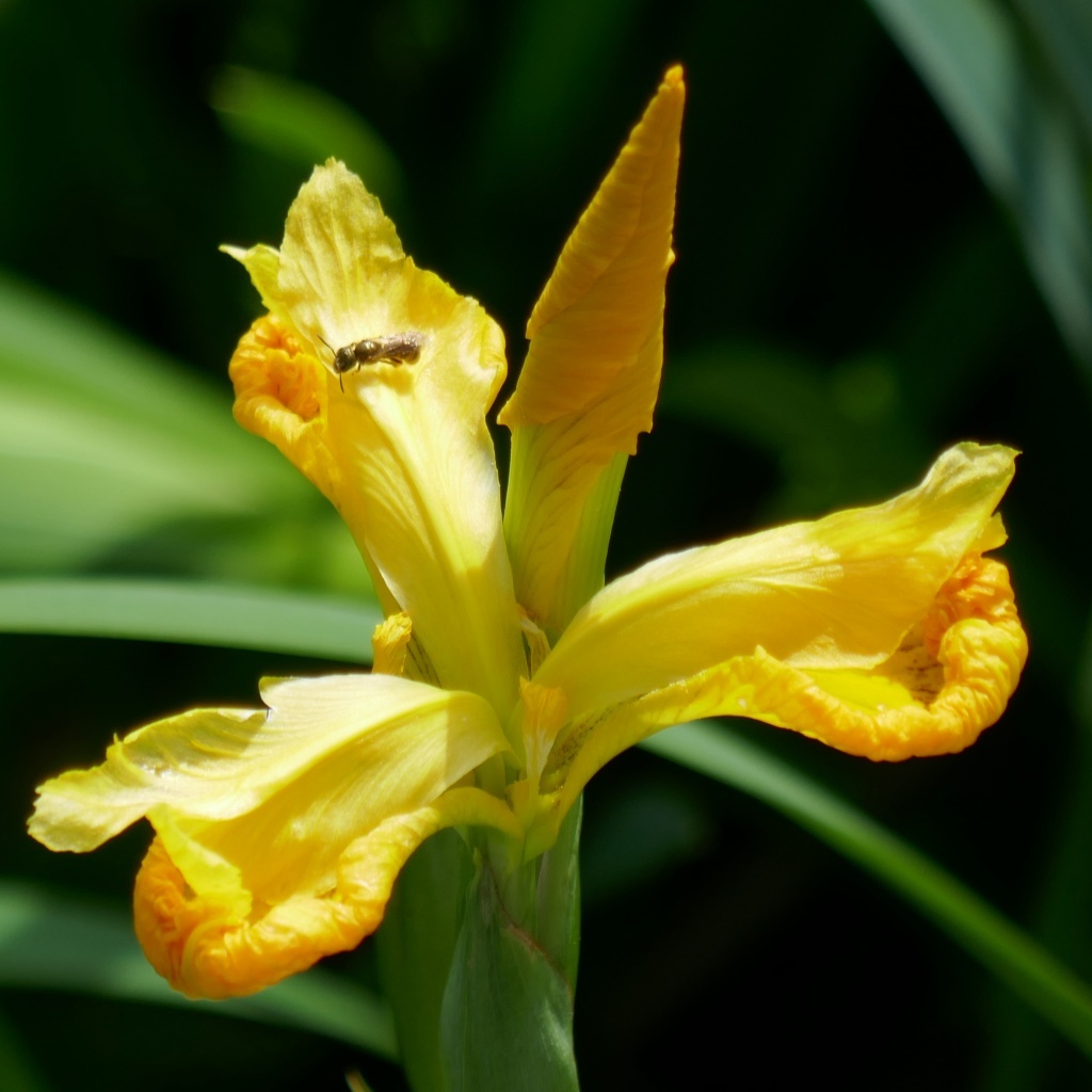 P1280553