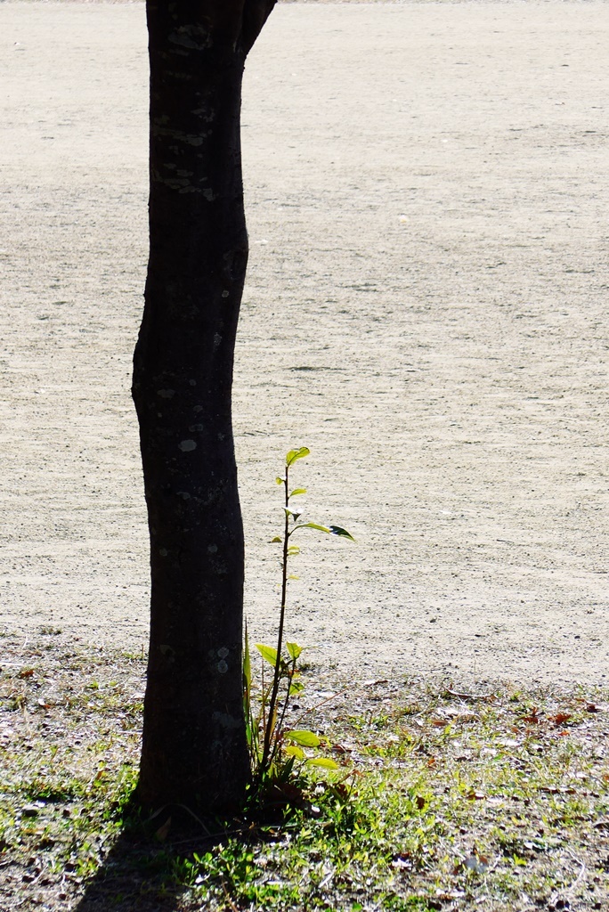 P1410090