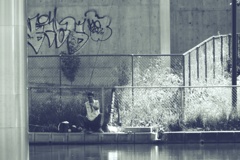 鮒が釣れるか？亀が釣れるか？