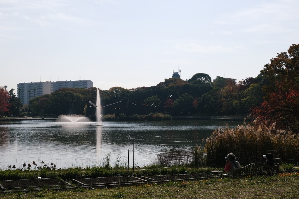 DSCF2988