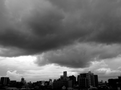 また台風きましたね (5)