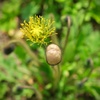 DSCF1236