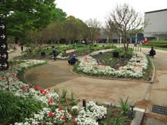 4月８日長居植物園