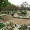4月８日長居植物園