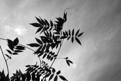 P1080184
