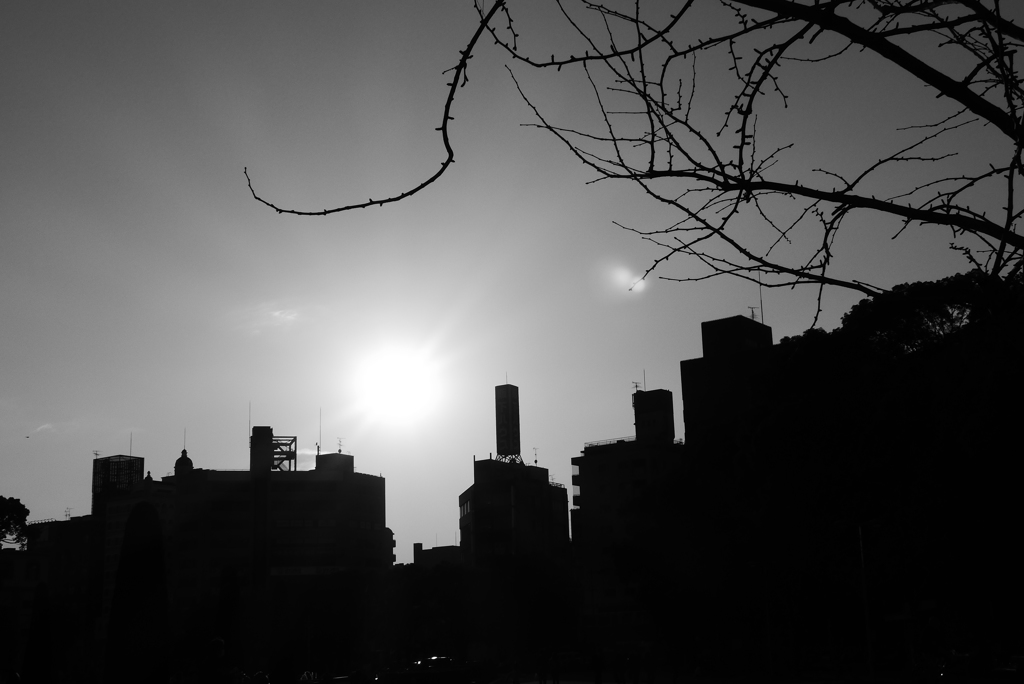 ビヨヨォ～ン (4)