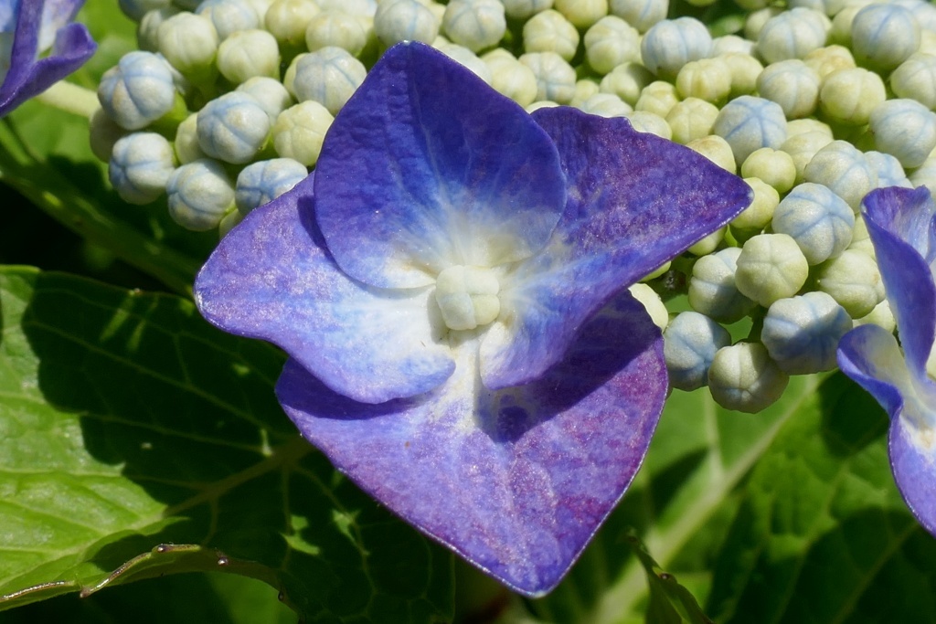 P1280813