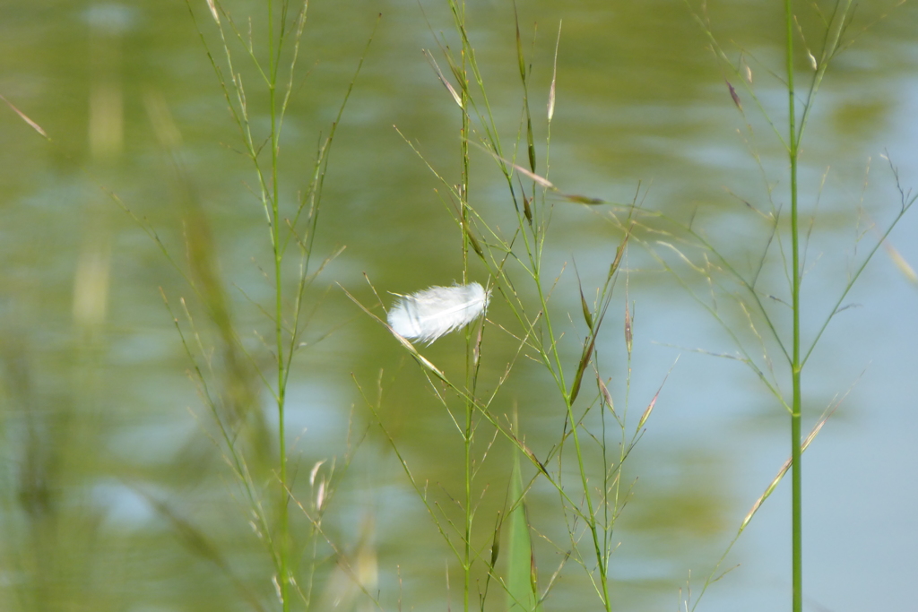 忘れてますよぉ～