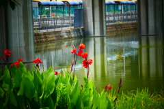 P1000863