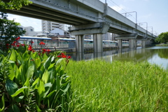 P1000119
