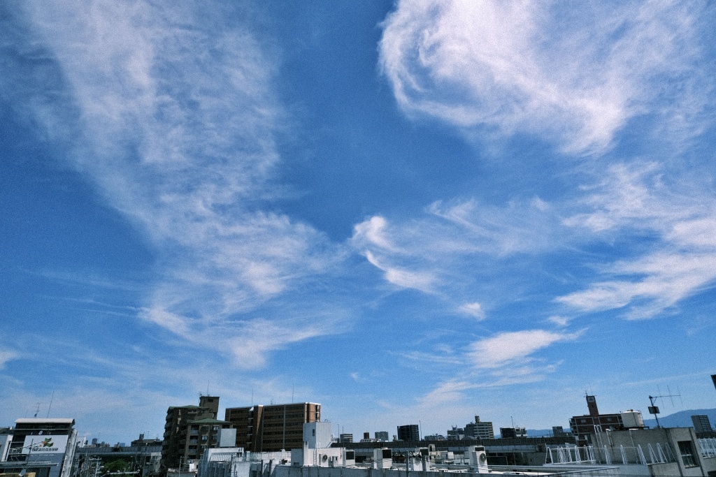 DSCF2065