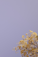 P1060798