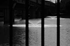 P1160004