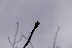 来年に向けて