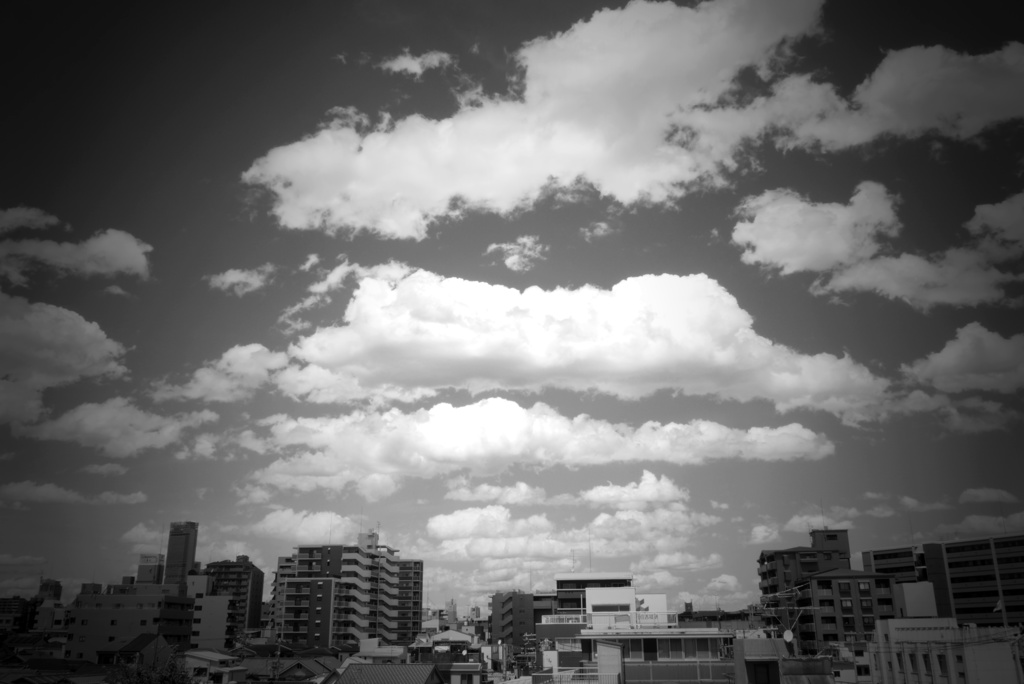 くも (8)