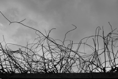 ビヨヨォ～ン (5)