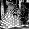 IMG_4654