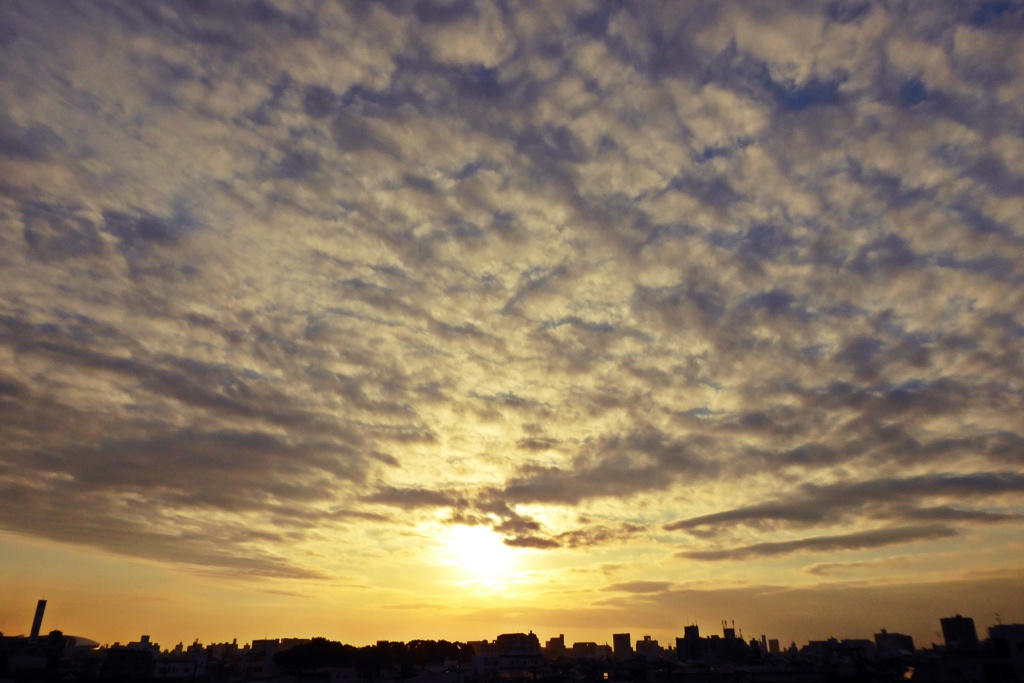 夕雲