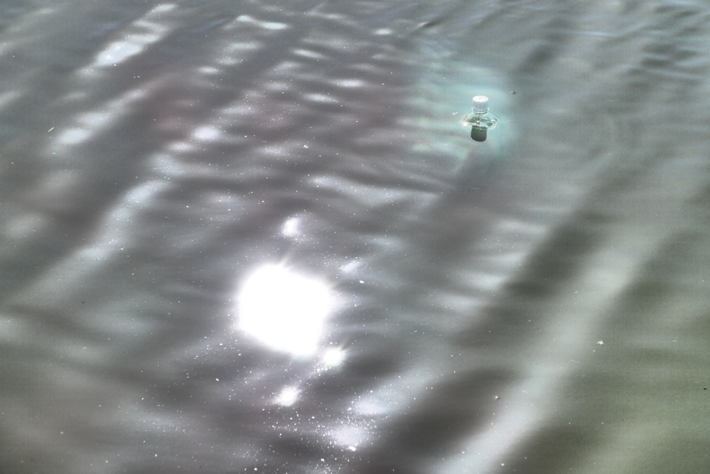 ペットボトルの霊