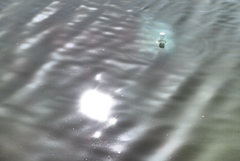 ペットボトルの霊