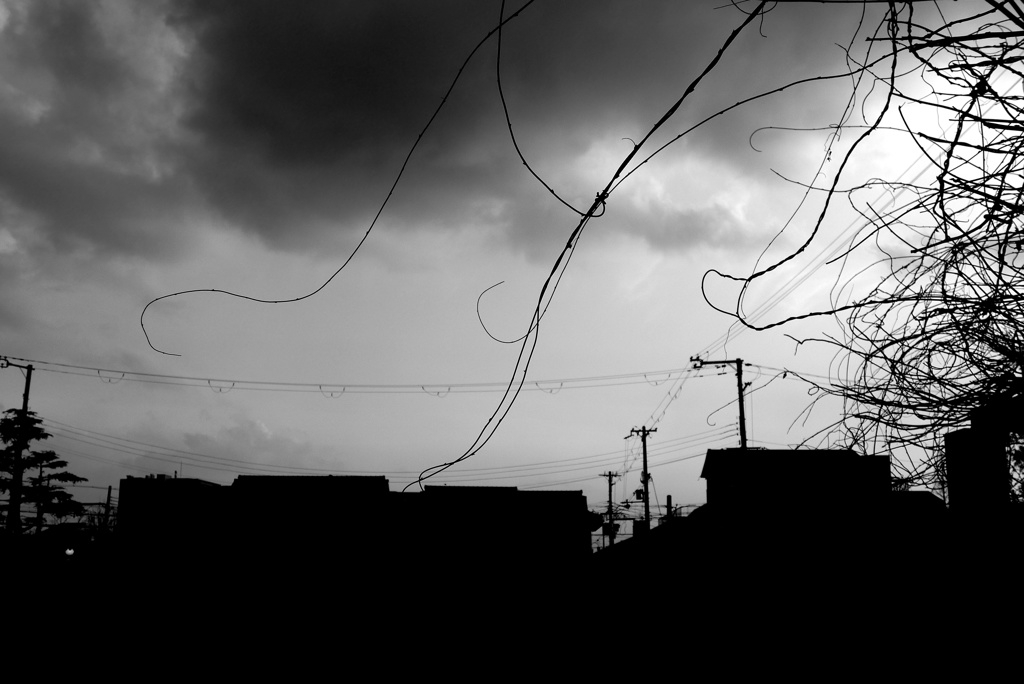 ビヨヨォ～ン (7)