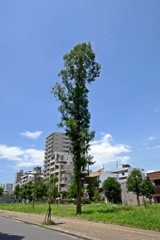 P1020868