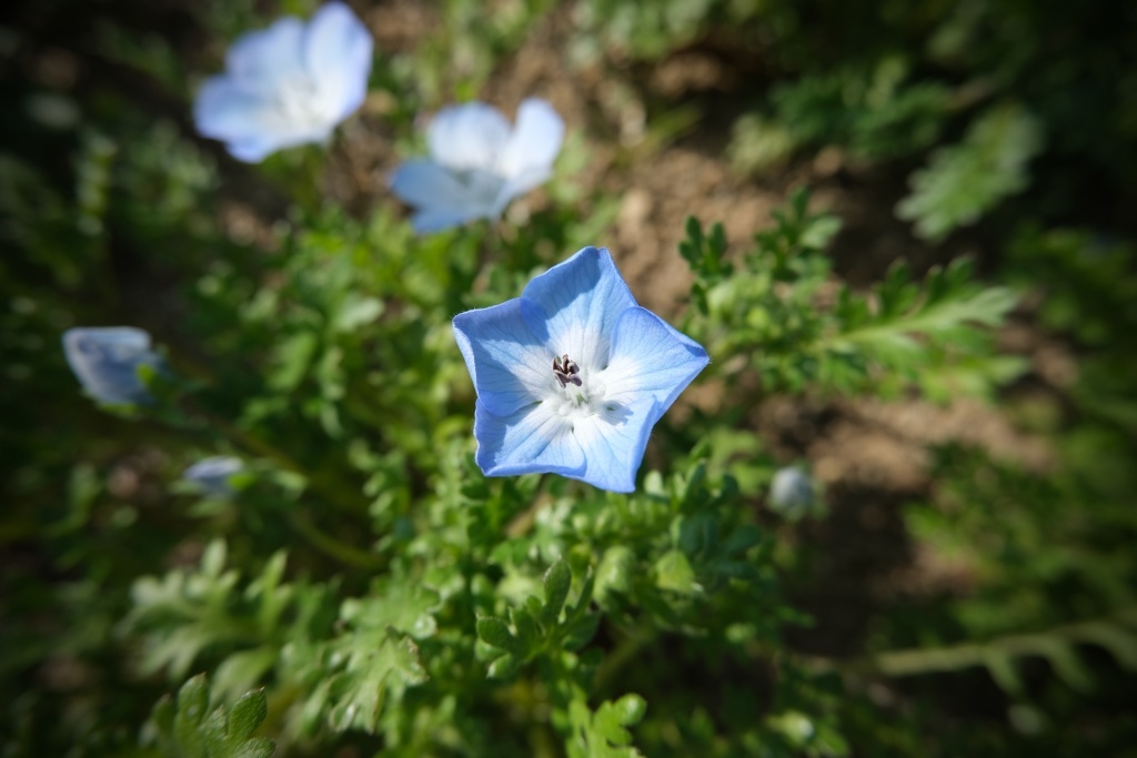 DSCF1298