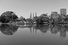 行きつけの公園