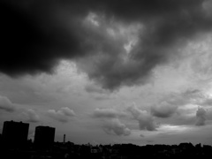 また台風きましたね (3)