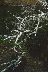 P1410612