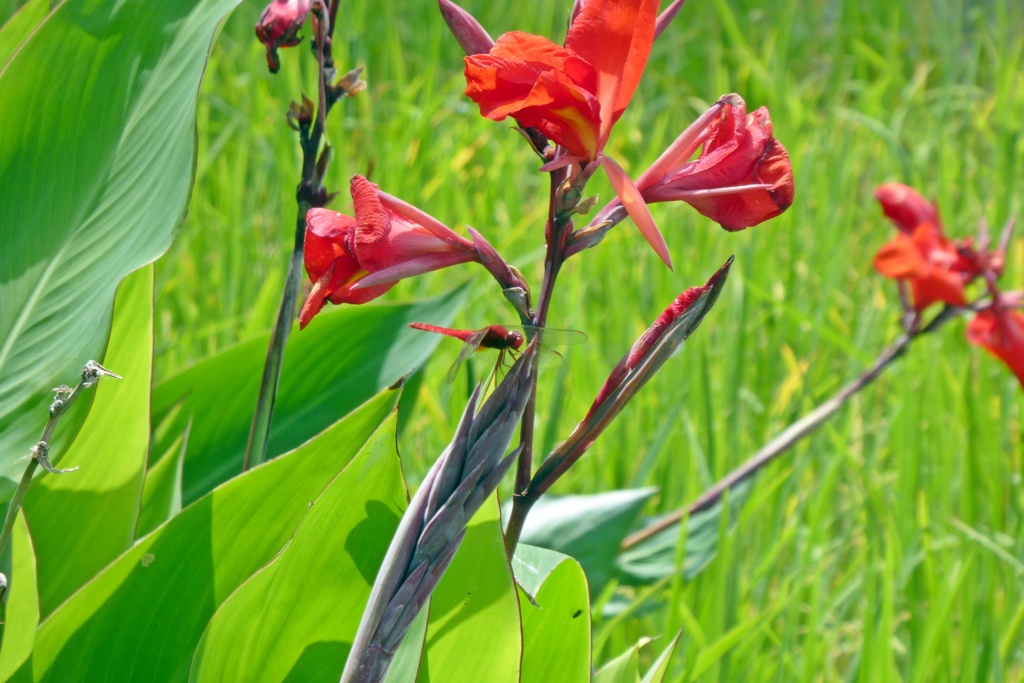P1090501