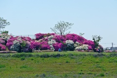 P1340736