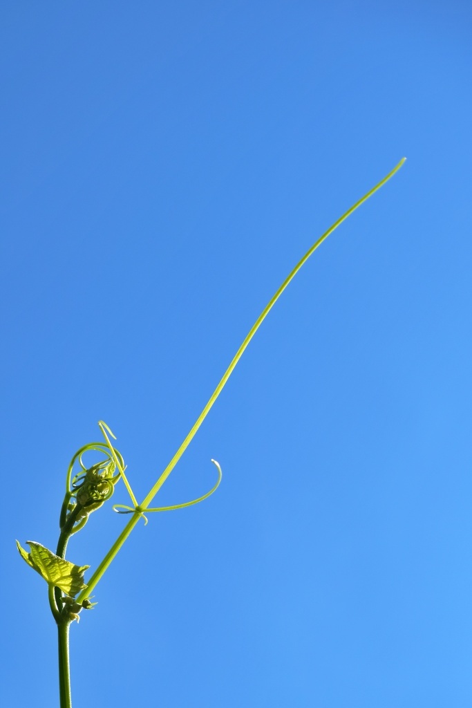 DSCF2805
