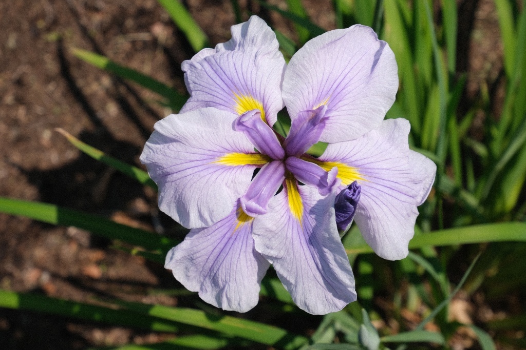 DSCF1725