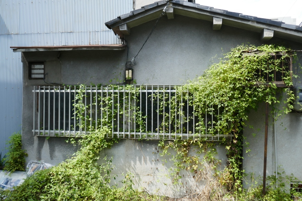 P1250690