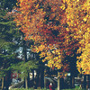 公園11