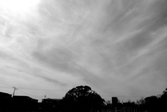 P1320444
